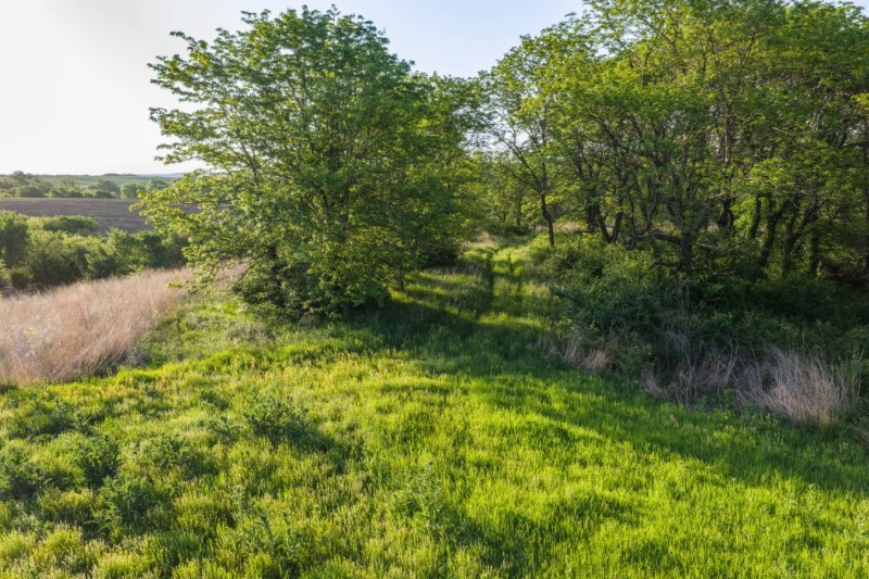 Listing photo 25